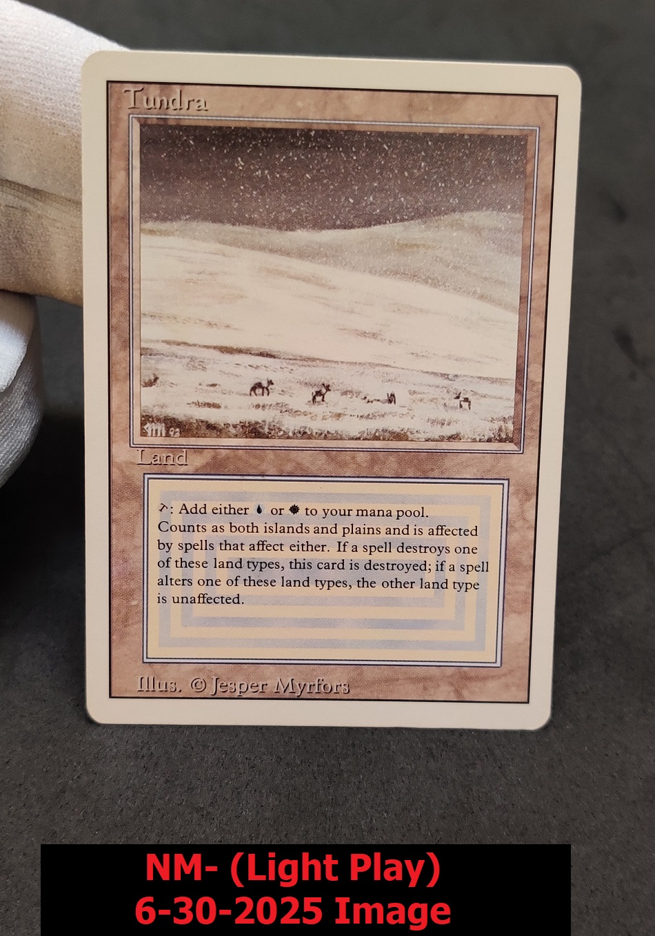 Tundra